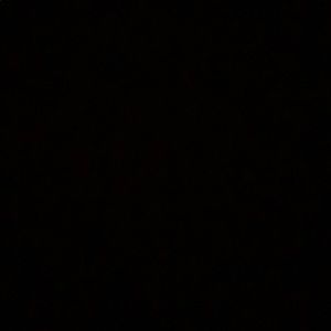 Meet your Posher, Mia